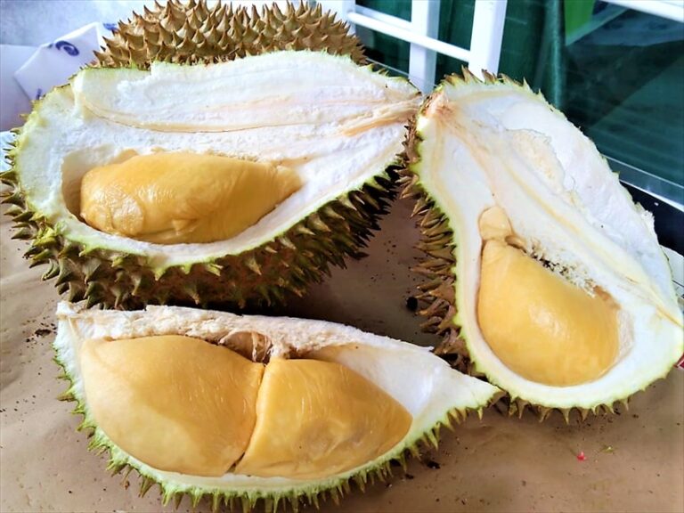 世界から注目を集めるフルーツの王様、マレーシア産「ドリアン」の魅力に迫る！ シェンタイ・ジャパン マーケティング インターナショナル株式会社